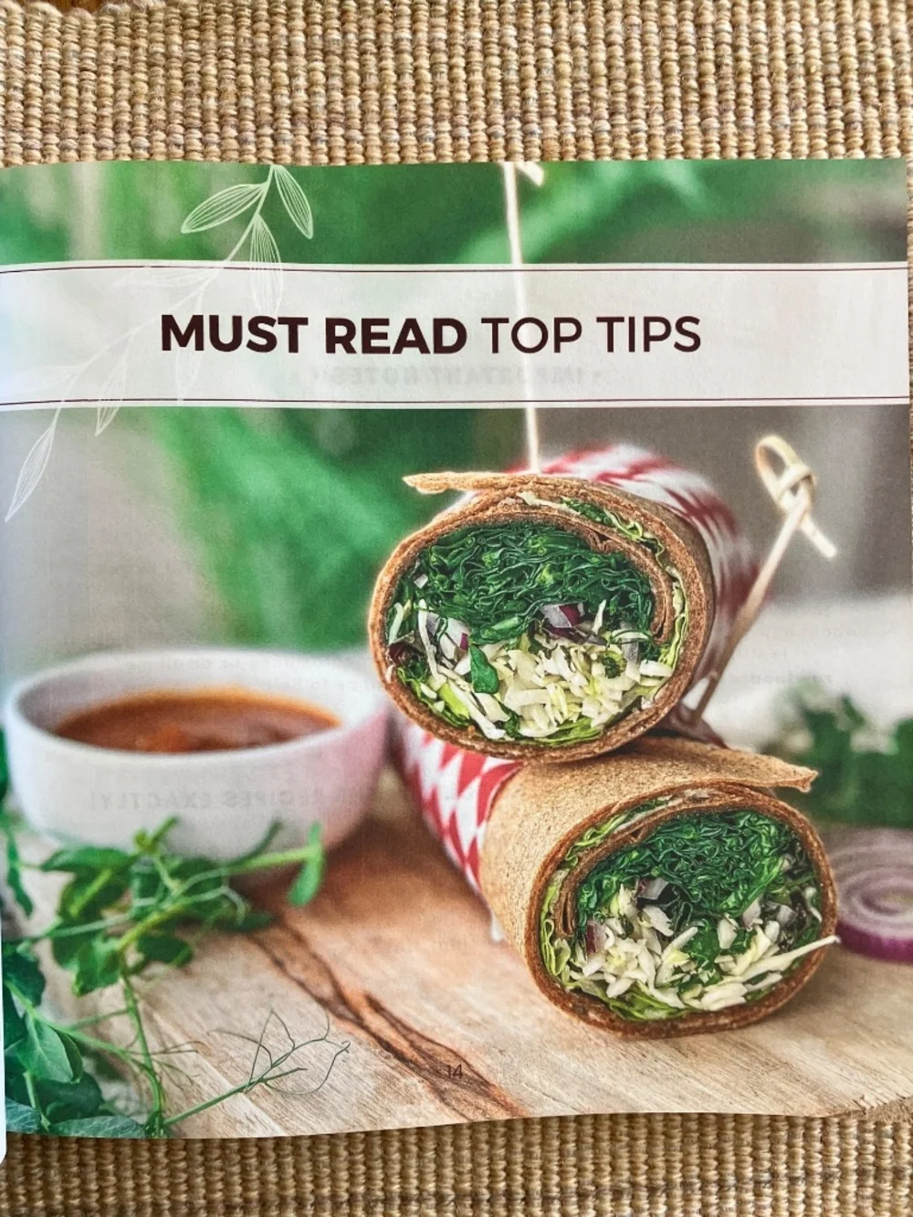 Hand Salads Wrap Cookbook NEW Raw Gluten Free vegan vegetarian